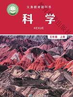 教科版小学五年级科学上册课本