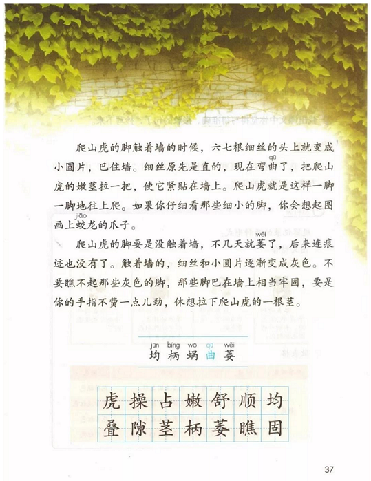 第2张